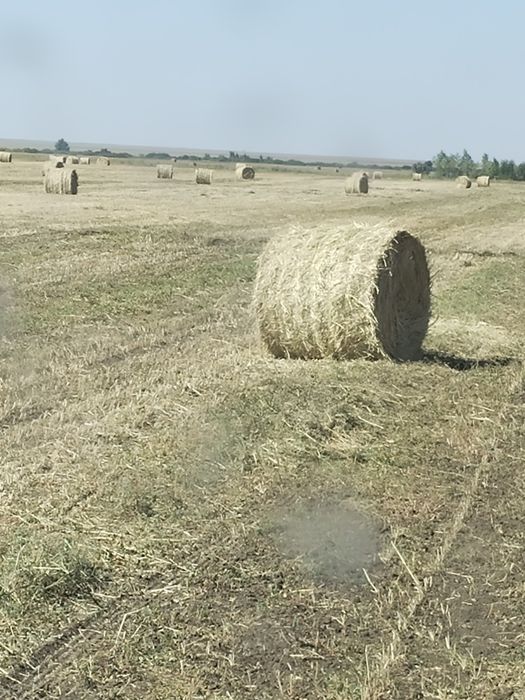 Продам   пресс .