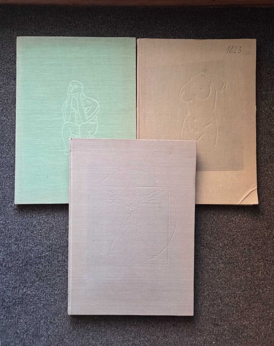 ATLAS DE ANATOMIE UMANA - Mircea Ifrim (3 volume)