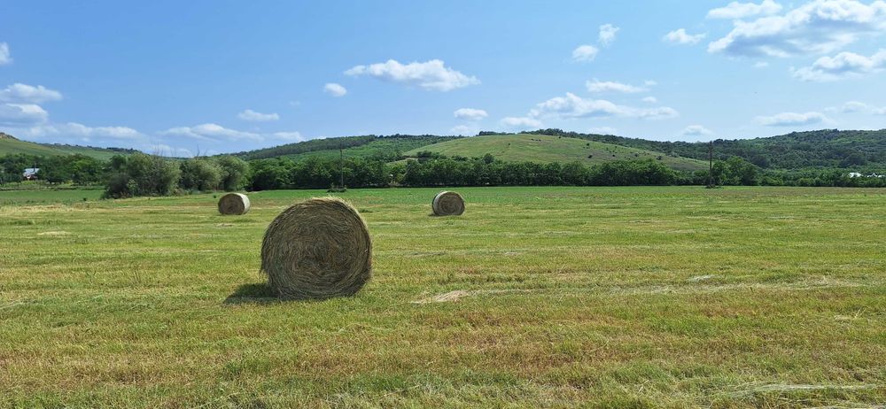 Baloti fan uscat 120x120 – calitate superioară