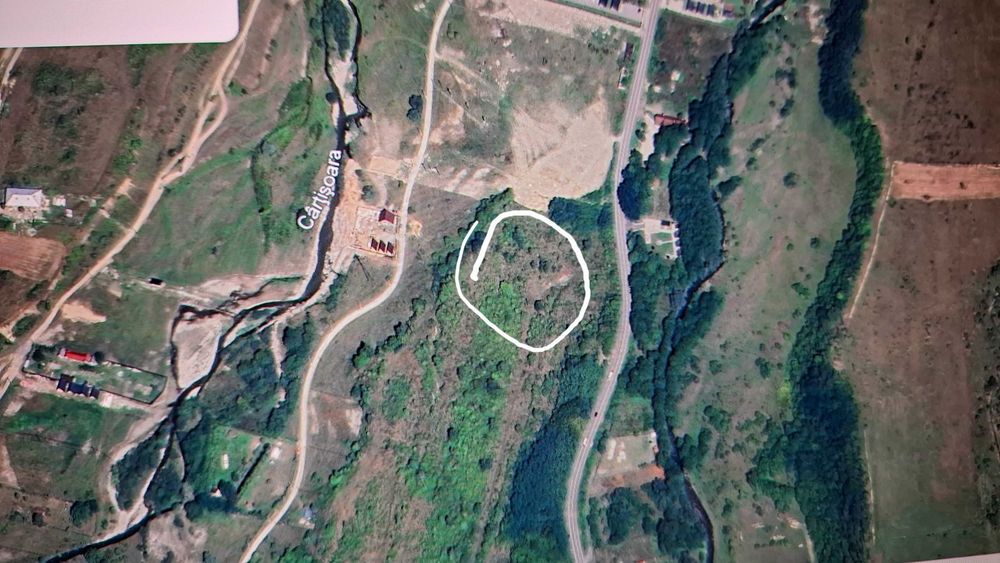 Vand teren extravilan, comuna Cartisoara jud Sibiu ( Transfagarasan), pe platoul superior, din proximitatea drumului Transfagarasan, la baza padurii..