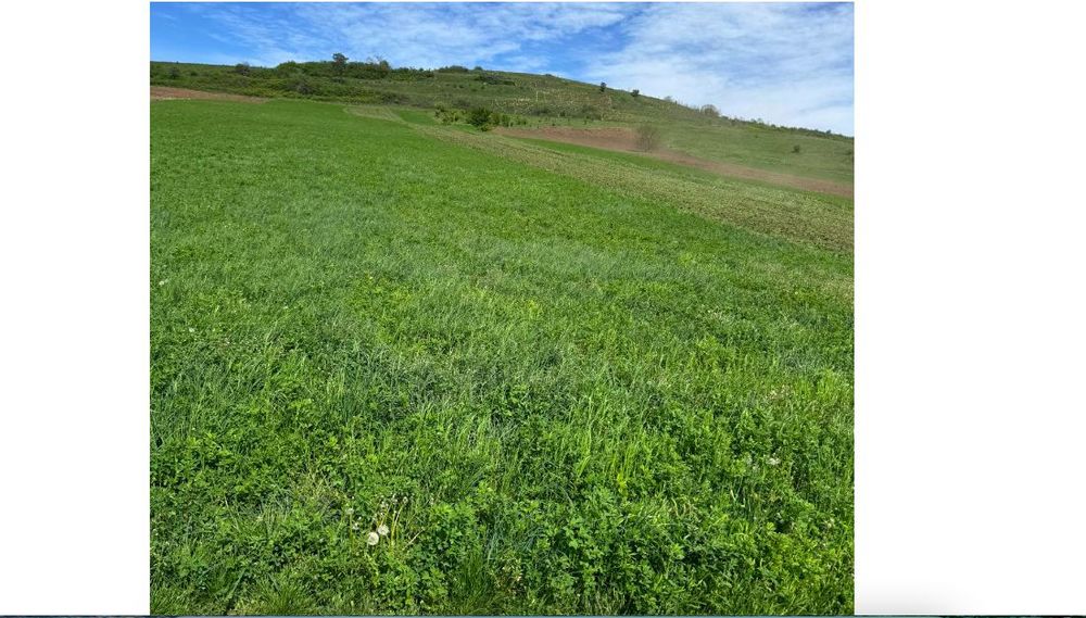 Vand Teren Extravilan, 6200mp, Zona Gusterita Sibiu