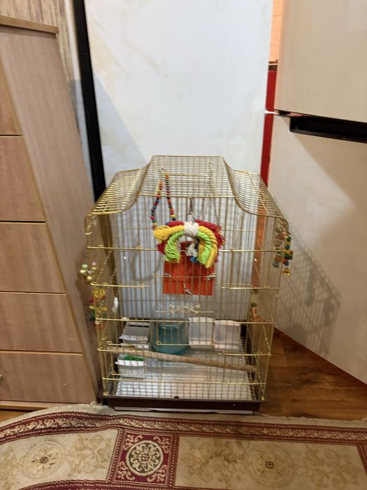 Клетка для попугая