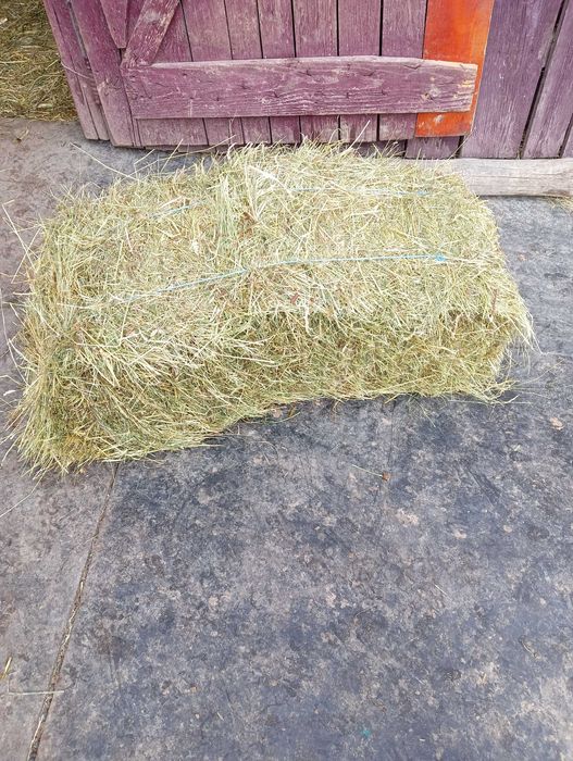 Baloți de fan de vânzare