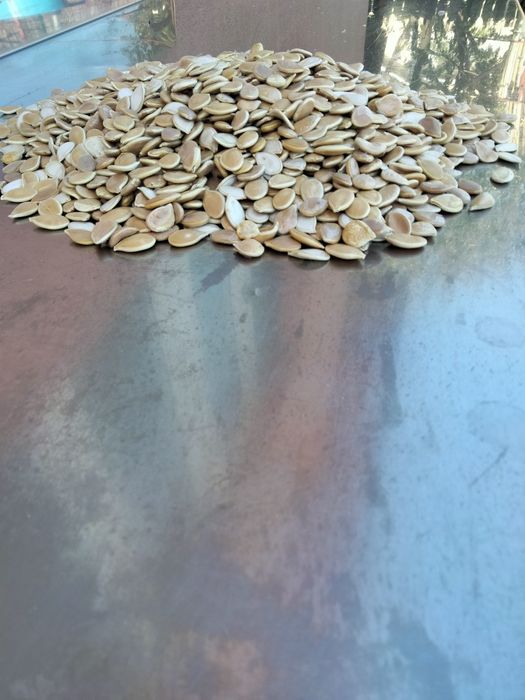 Vind semințe de dovleac