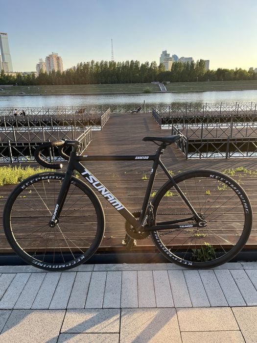 Тсунами снм 100