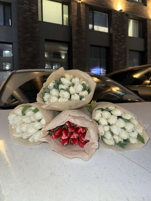 Оптом Тюльпаны и