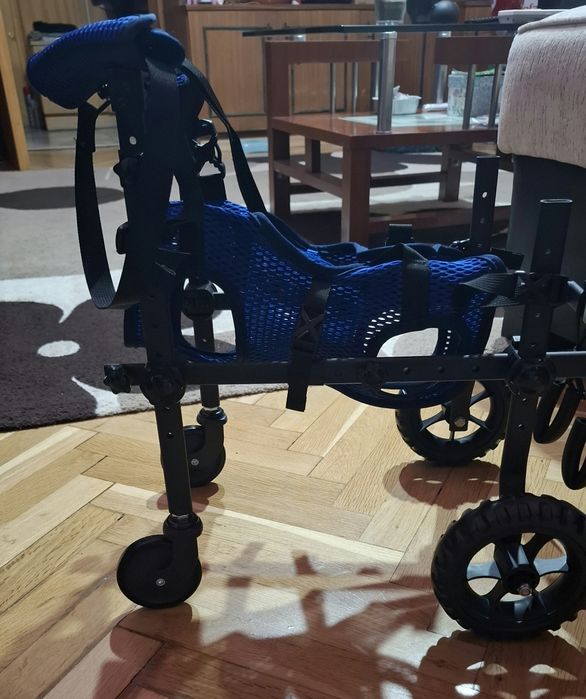 Инвалидна количка за кучета