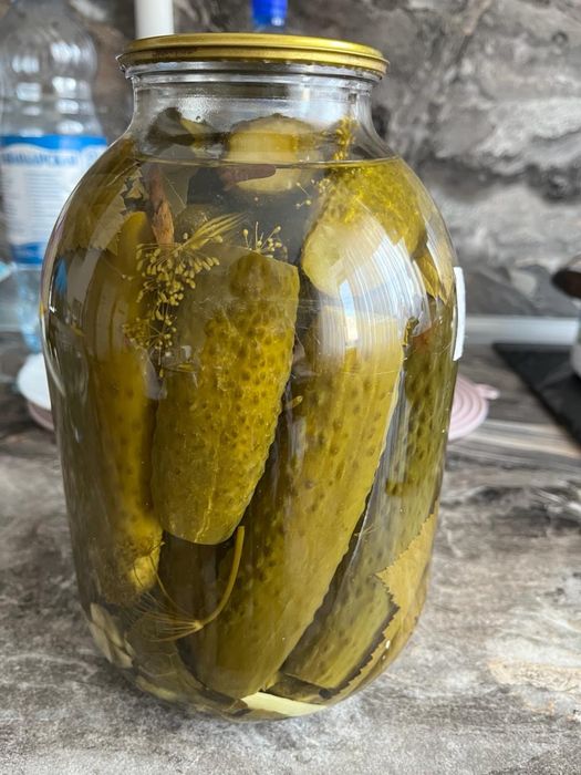 Огурцы соленые домашние