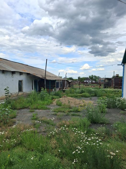 Продам дом село Надеждинка