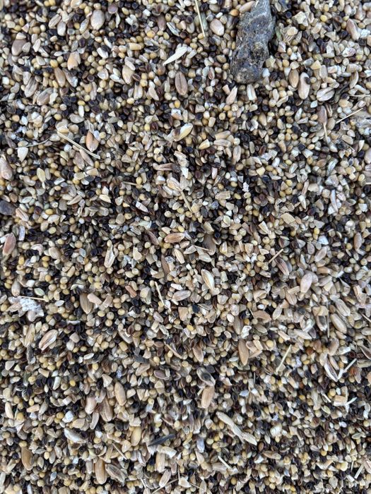 Зерноотходы продам