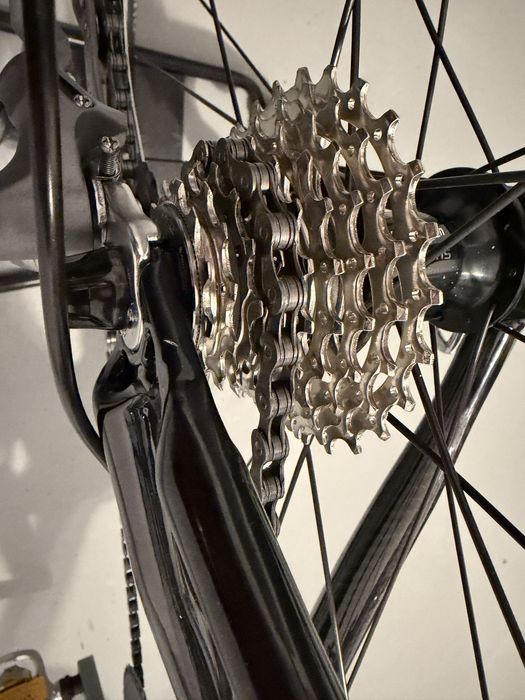 Cursiera DHS Shadow-carbon