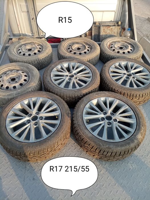 Диск балон шиповыный