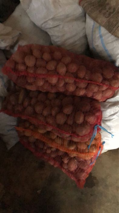 Cartofi consum galbeni si roșii