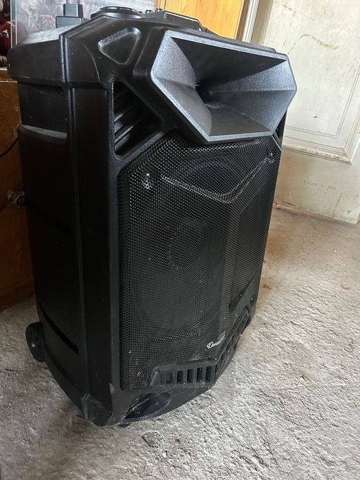 Tонколона Thunder THS-B1502BTW