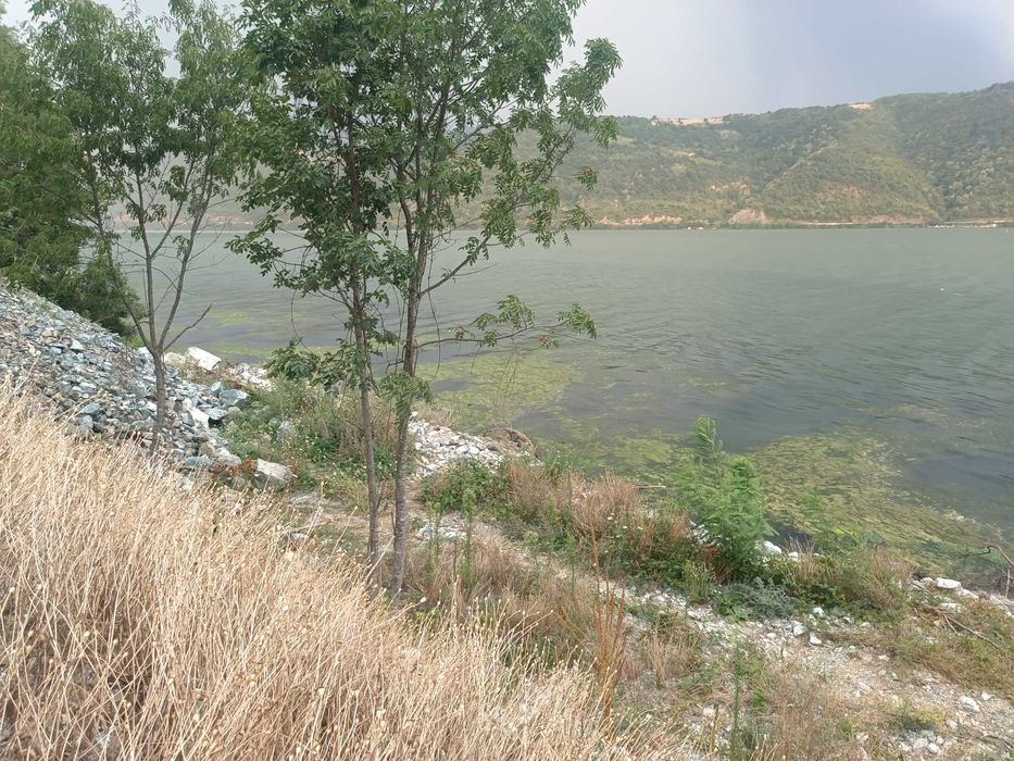 Loc de pescuit la Dunăre, Svinița