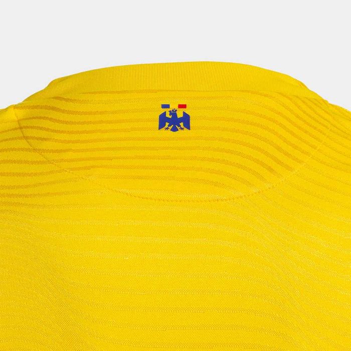 ORIGINAL Tricou Oficial De Joc Adulti Romania 25/26 Galben-ideal cadou