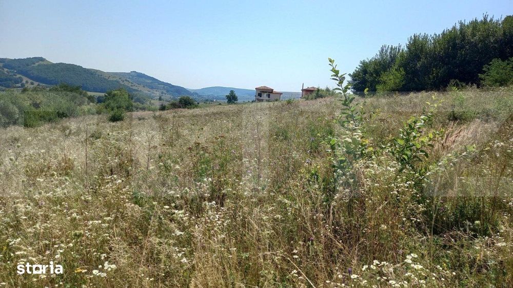 Vand teren extravilan in Stolna suprafata 2550 mp, front 37 utilitati
