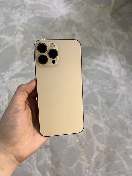 Iphone 13 pro max