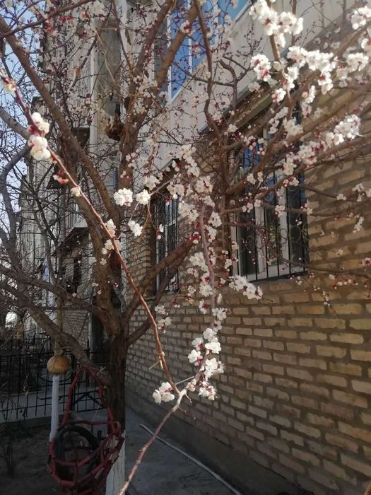 Продаётся квартира 23 мк дом 1/23 1 этаж 3 -х ком, есть сад и погреб