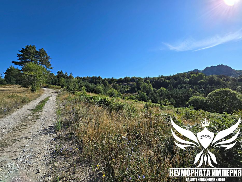 Продава се Парцел в с. Мостово, Област Пловдив - 868 кв.м за 52 €/кв.м - Снимка #6