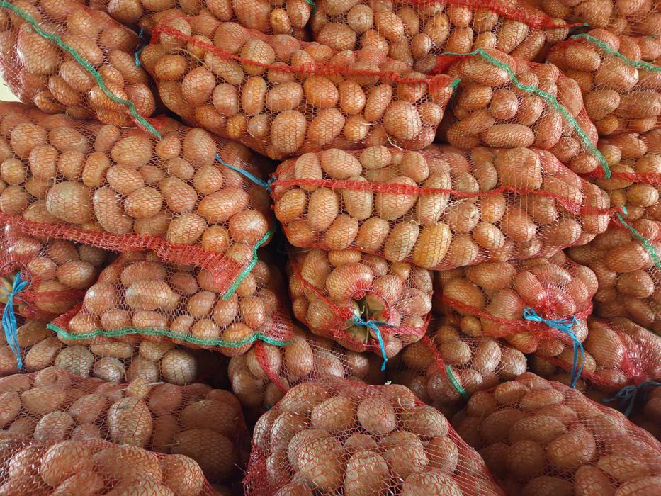 Cartofi roșii consum