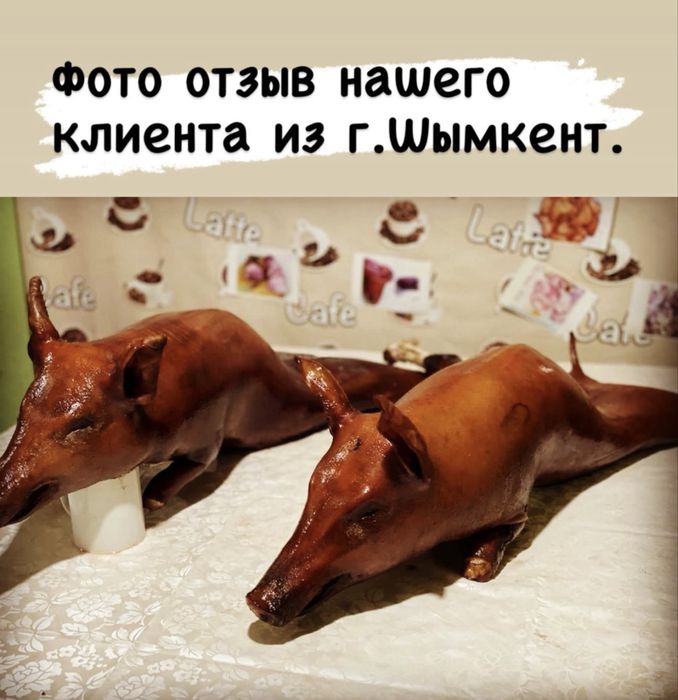 Коптильный шкаф ( коптилка , коптильня )