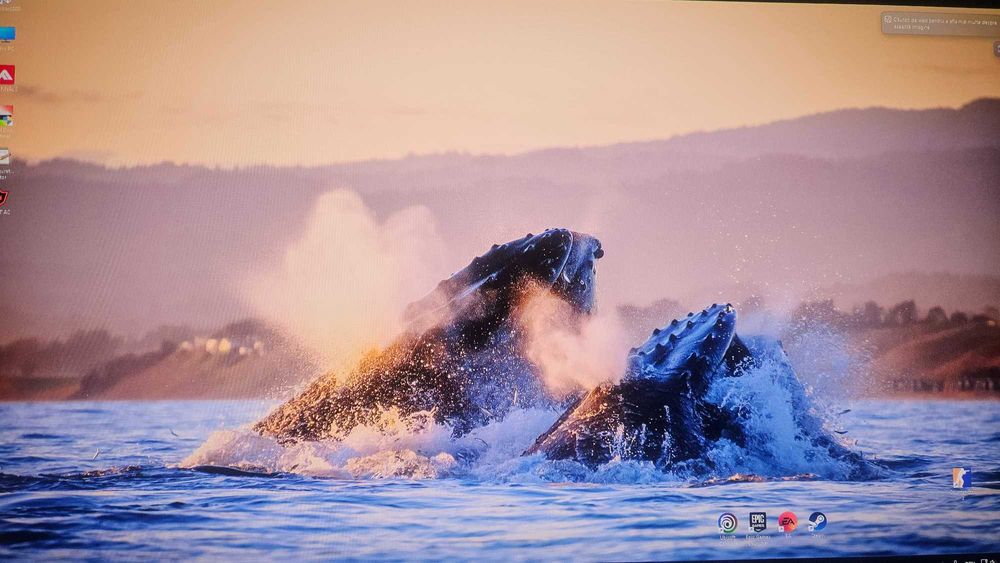 Monitor Samsung OLED 360hz, full HD