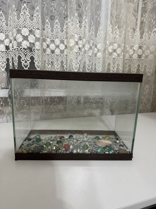 Небольшой аквариум 5000 тг.