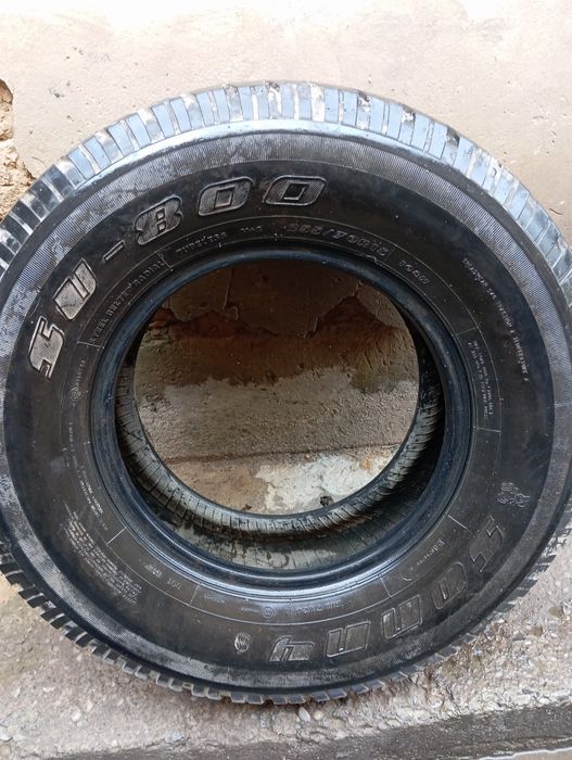 Продается боланый