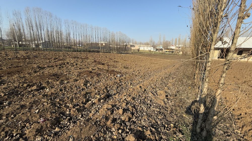 30 сотих Чиноз туман