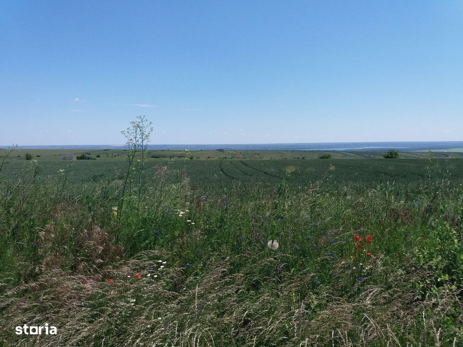 Vand teren agricol Tulucesti