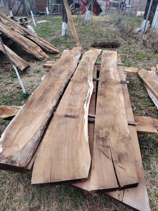 Posta de 5.5 grosime de nuc