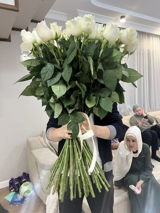 51голландская роза