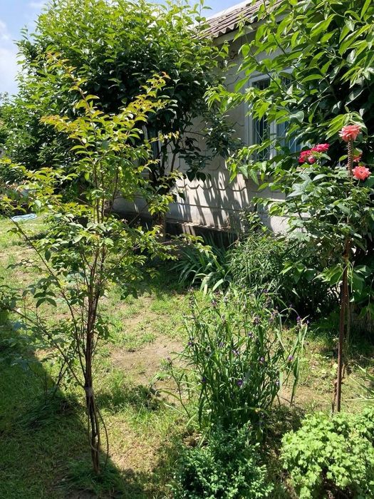 Сдам дом! Для семьи!