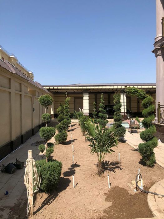 Sifatli gazon ekamiz 100% garantiya