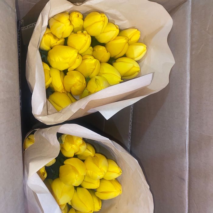 Тюльпаны свежие