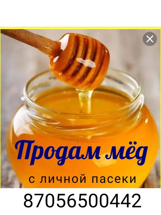 Продам мёд свежий 2026 г