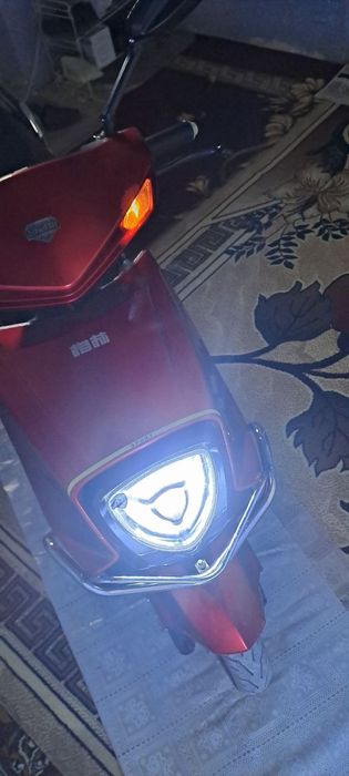 Elektra skuter kattasidan