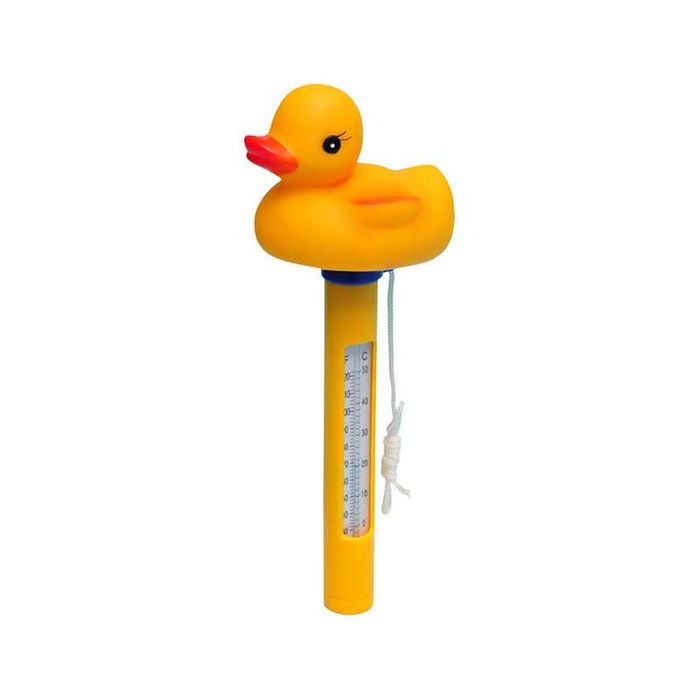 Термометры для бассейна