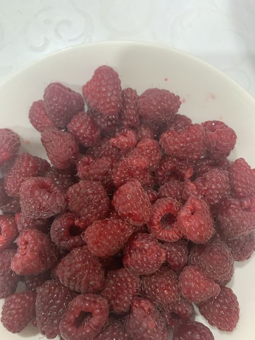Продам малину дачную