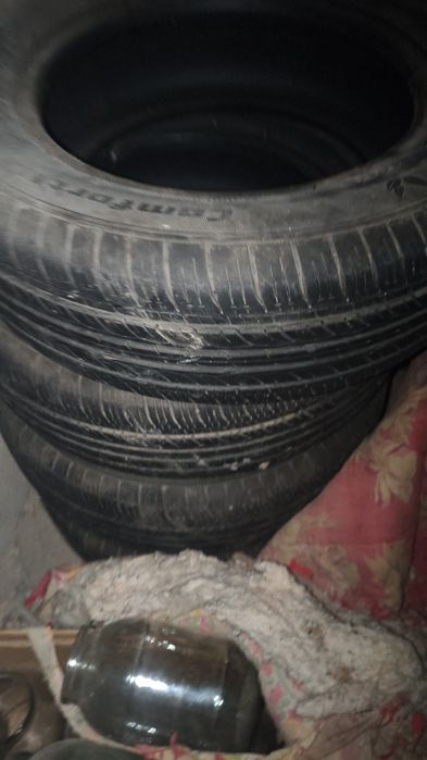 Шыны Капсын 1 сезон журген