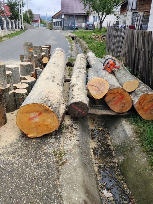 Vind lemne de foc esență tare fag