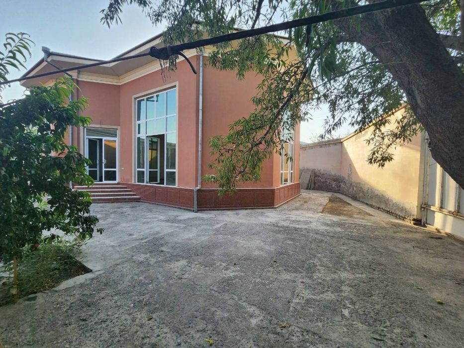 Turon kuchada xovli sotiladi