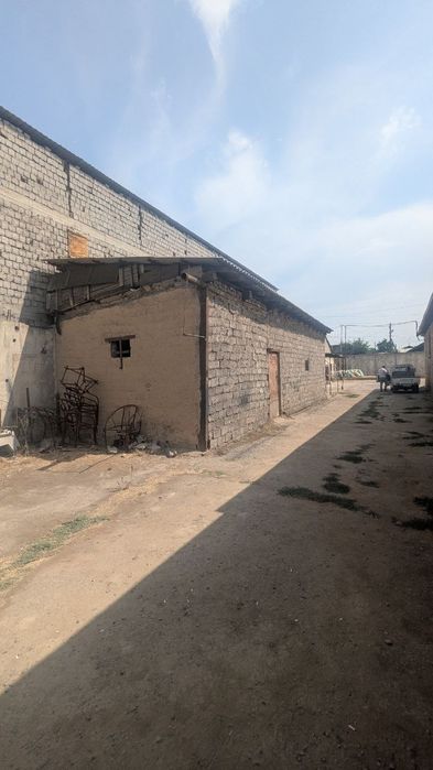 Зангиота, Уртаовулда Нотурар бино сотилади