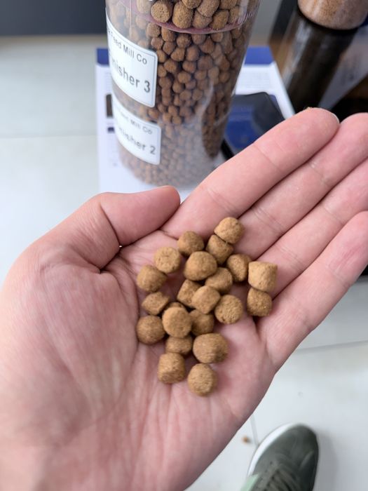 Сазан балиқлари учун тез семиртирувчи профессионал ем (оптом)