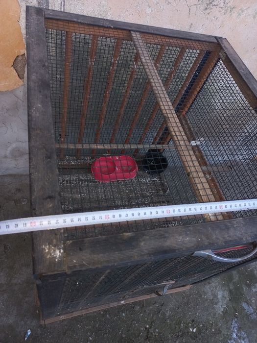 Voliera pt păsărele