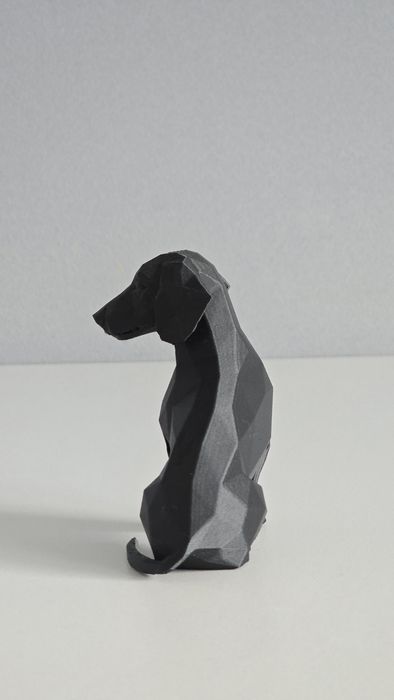 Dachshund/Teckel in miniatura