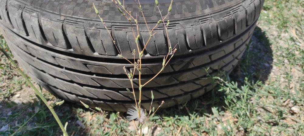 Джанти с гуми 17"