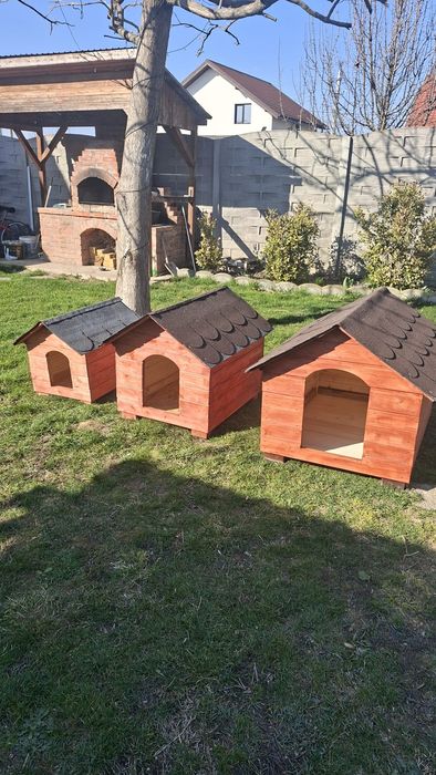 Custi pentru caini diferite marimi