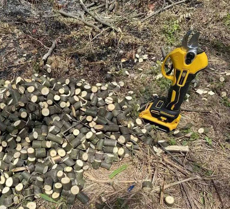 Акумулаторна Лозарска Ножица Vermark Starke / 24V, 5Ah /